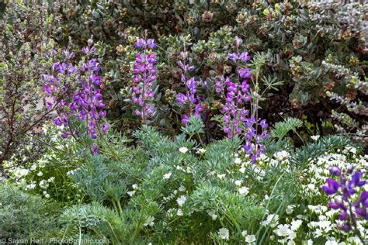 Greg Shepherd - Bio, Age, Wiki, Facts and Family