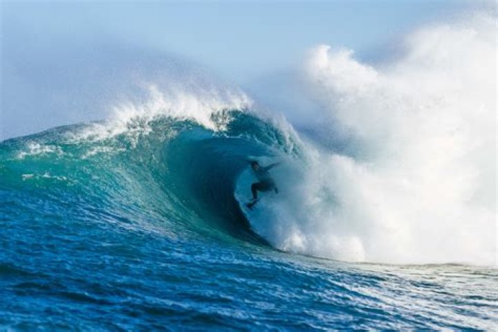 Griffin Colapinto - Bio, Age, Wiki, Facts and Family