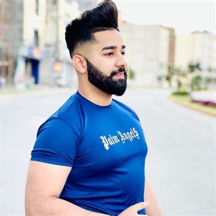 Hamza Malik - Bio, Age, Wiki, Facts and Family