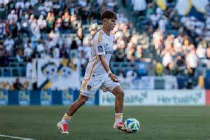 Harbor Miller - Bio, Age, Wiki, Facts and Family