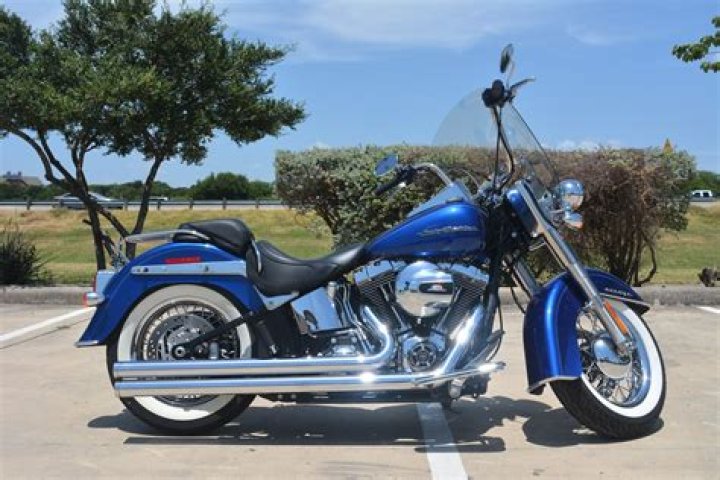 Harley Bird - Bio, Age, Wiki, Facts and Family