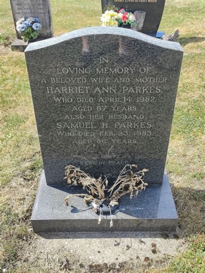 Harriet Parkes - Bio, Age, Wiki, Facts and Family