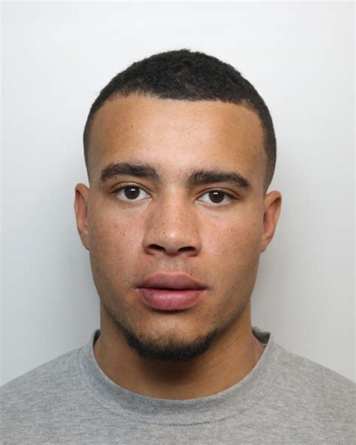 Harrison Sullivan: TikTok Star Detailed Bio, Age, Birthday, & Height Insights and more