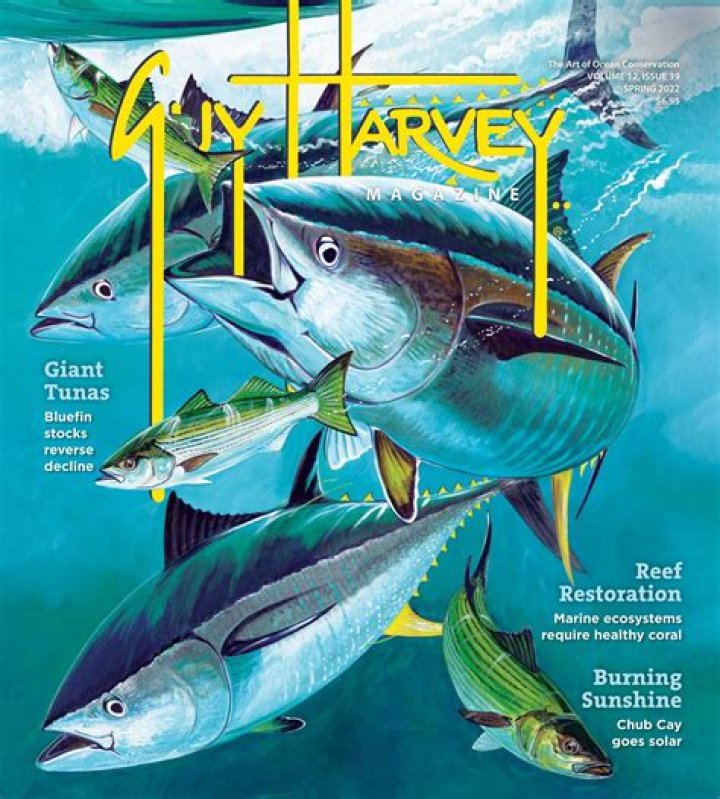 Harvey Bass - Biography, Age, Wiki, Facts and Family