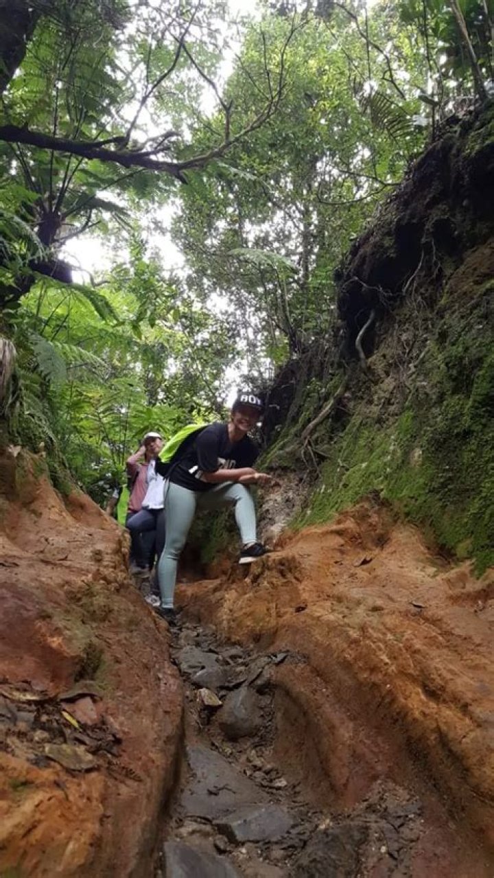 Ian Hill - Bio, Age, net worth, height, Wiki, Facts and Family