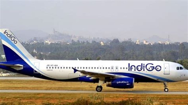 Indigo Traveller (webvideostar) - Wikipedia, Age, Net Worth, Biography , Spotify, TikTok, Facebook, Facts and Family