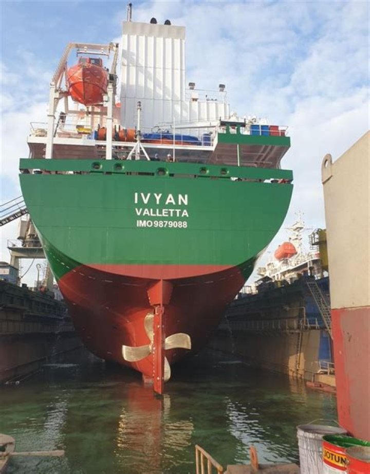 Ivyann Schwan - Bio, Age, Wiki, Facts and Family