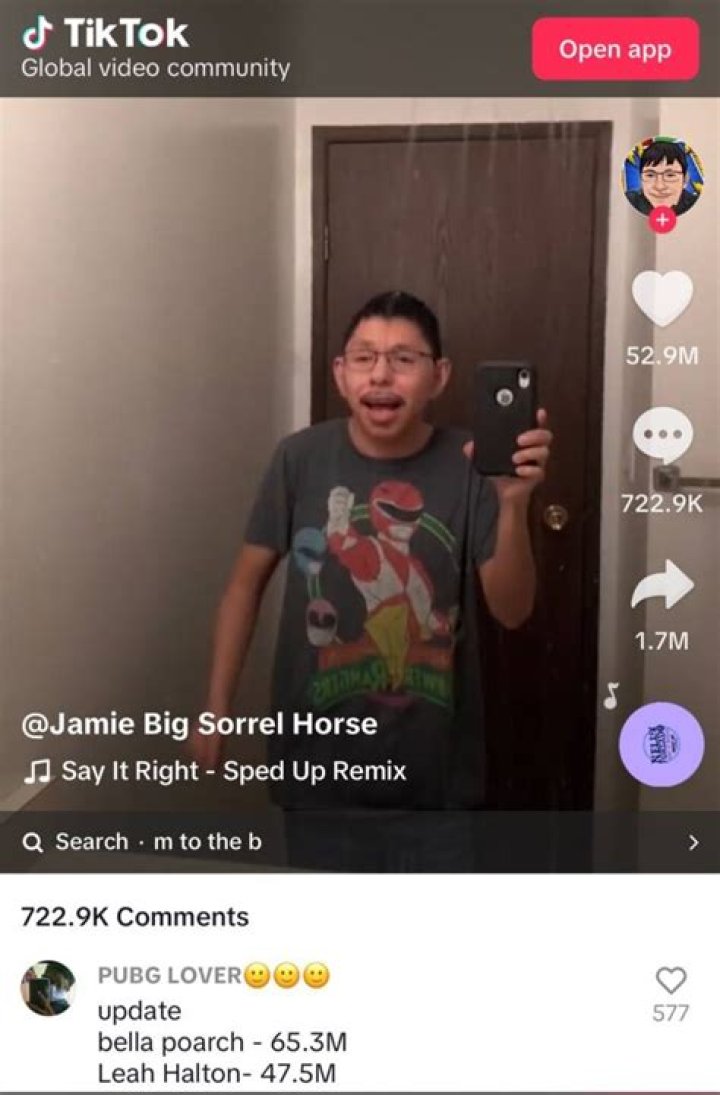 Jamie Big Sorrel Horse (webvideostar) - Wikipedia, Age, Net Worth, Biography , Spotify, TikTok, Facebook, Facts and Family