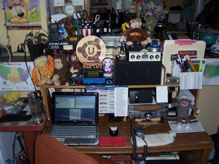 Jason Marin - Bio, Age, Wiki, Facts and Family