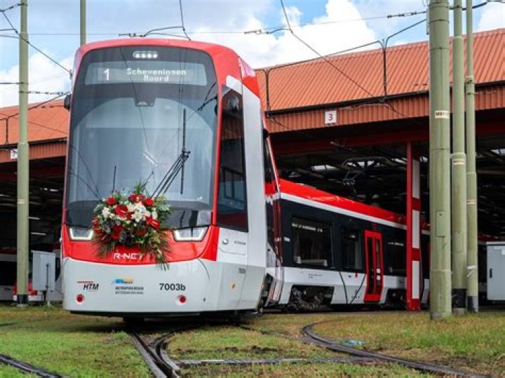 Jason Bradley - Biography, Age, Wiki, Facts and Family