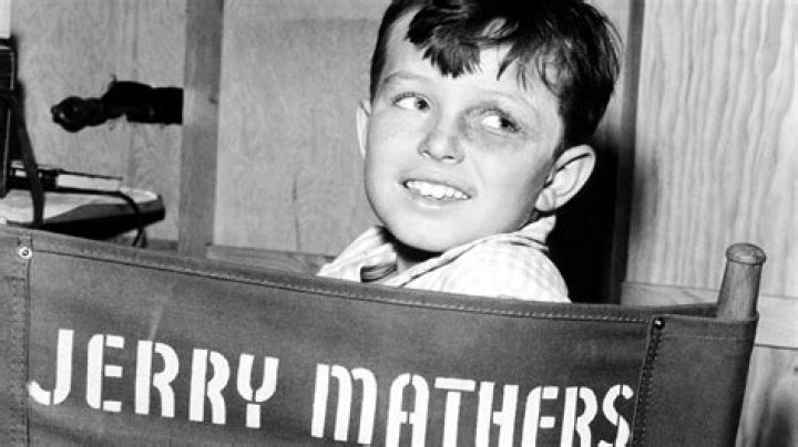 Jerry Mathers - Bio, Age, net worth, height, Wiki, Facts and Family