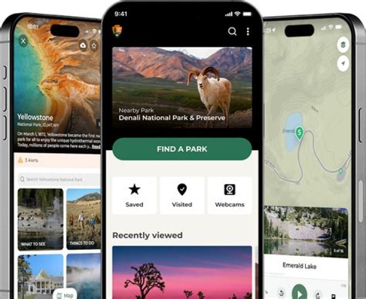 Jesse Garfield - Bio, Age, Wiki, Facts and Family