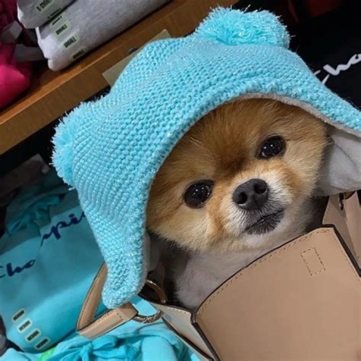 JiffPom - Bio, Age, Wiki, Facts and Family