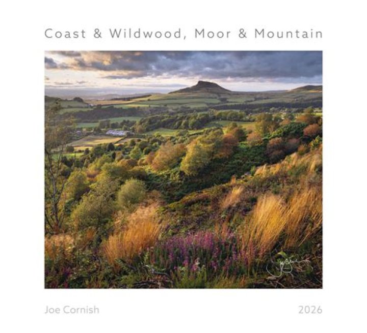 Joe Cornish - Bio, Age, Wiki, Facts and Family