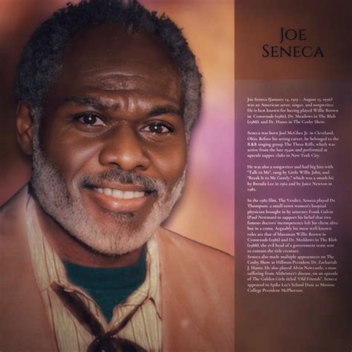 Joe Seneca - Bio, Age, Wiki, Facts and Family