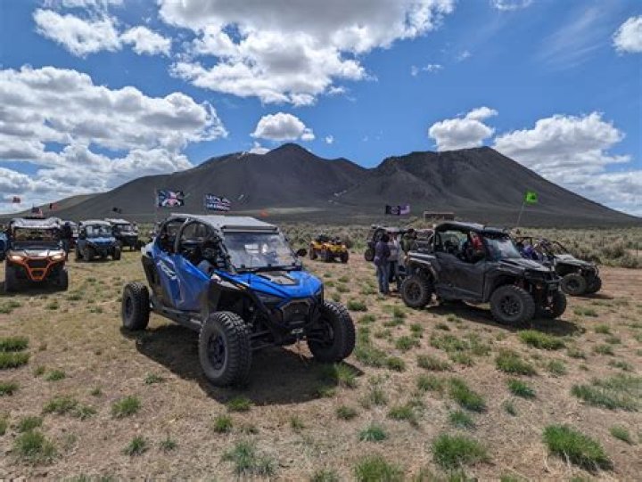 John Park - Bio, Age, height, Wiki, Facts and Family