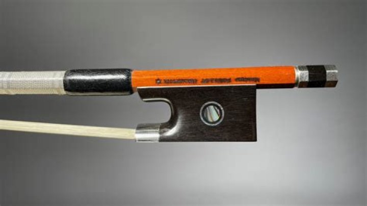 Jurgen von der Lippe - Bio, Age, Wiki, Facts and Family