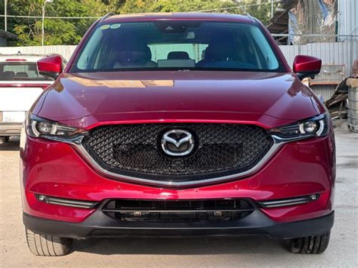 Kaj Zu5e - Bio, Age, Wiki, Facts and Family