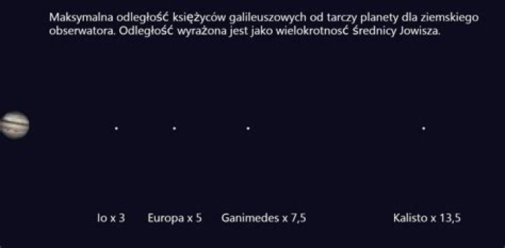 Kalisto - Bio, Age, weight, height, Wiki, Facts and Family