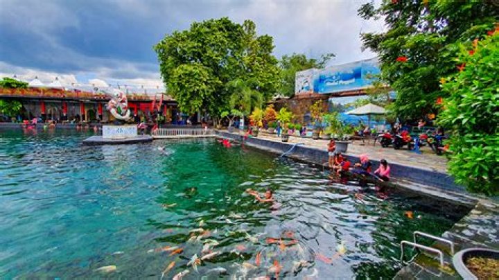 Kel Swann - Bio, Age, Wiki, Facts and Family