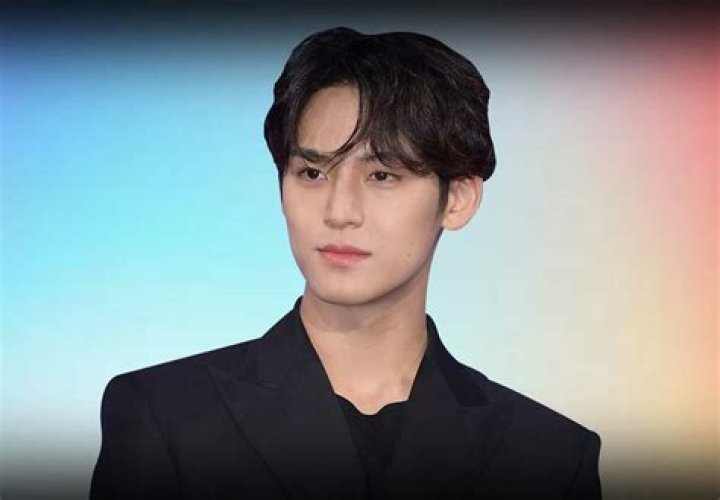 Kim Mingyu - Bio, Age, height, Wiki, Facts and Family