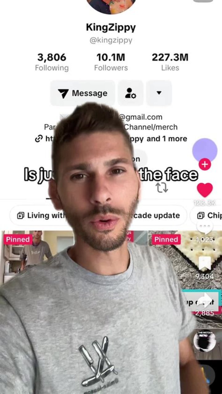 kingzippy - Bio, Age, Wiki, Facts and Family