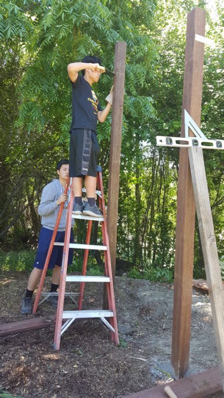 Landon Nguyen - Bio, Age, Wiki, Facts and Family