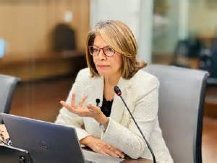 Laura Chinchilla - Bio, Age, Wiki, Facts and Family