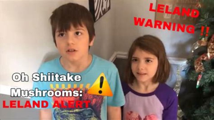 Leanna Powell - Bio, Age, Wiki, Facts and Family