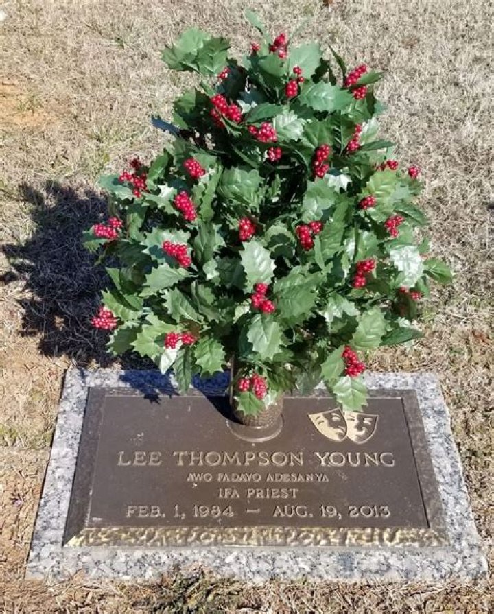 Lee Thompson Young - Bio, Age, net worth, height, Wiki, Facts and Family