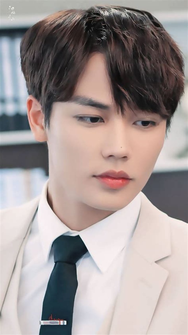 Lin Yanjun - Bio, Age, Wiki, Facts and Family