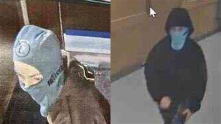 Logan Dominick - Bio, Age, Wiki, Facts and Family