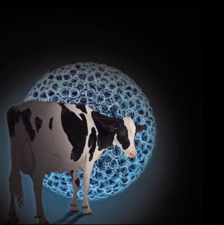 María Conchita Alonso - Bio, Age, Wiki, Facts and Family