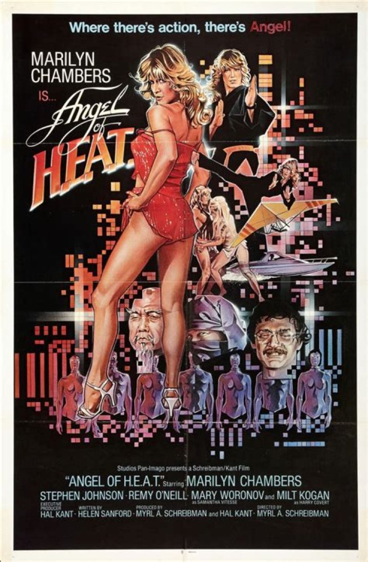 Marilyn Chambers - Bio, Age, Wiki, Facts and Family