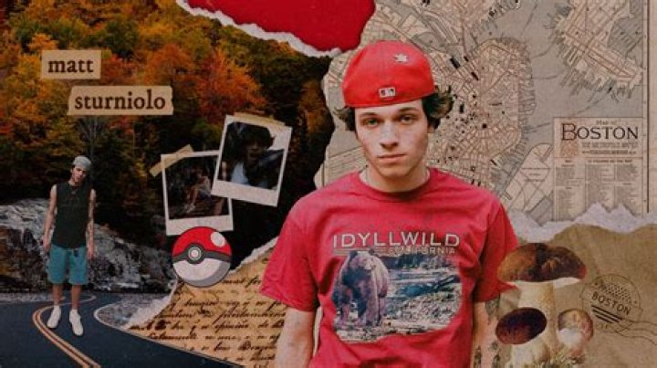 Matthew Sturniolo(webvideostar) - Biography, Age, Net Worth, Wikipedia, Spotify, TikTok, Facebook, Facts and Family