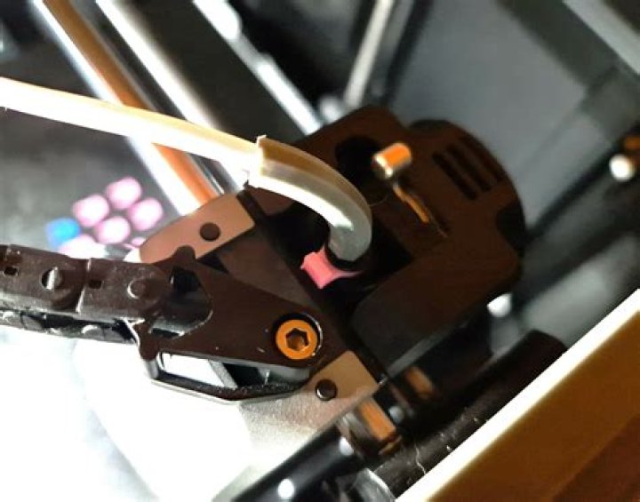 Max Bowden - Bio, Age, Wiki, Facts and Family