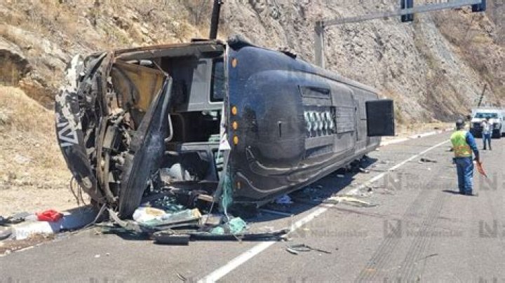 Memo Garza - Bio, Age, Wiki, Facts and Family