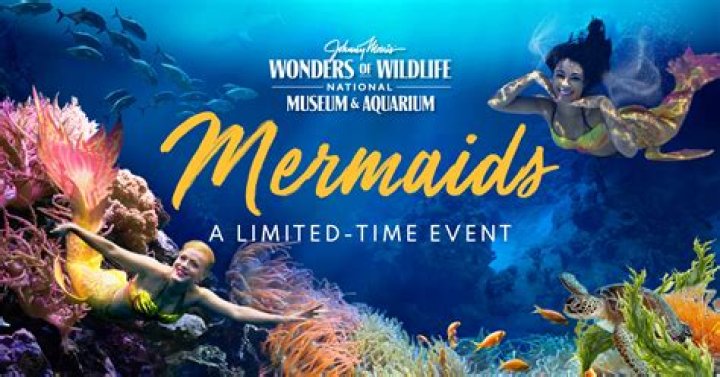 Mermaid Mo - Bio, Age, Wiki, Facts and Family