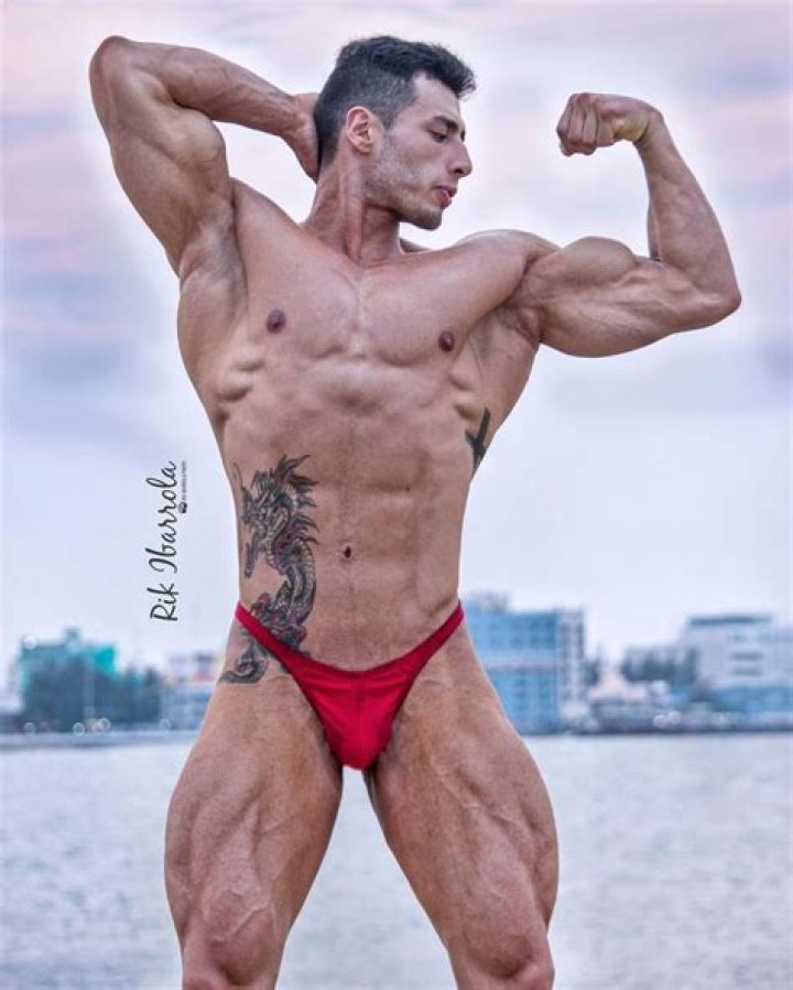 Mike Herrera - Bio, Age, net worth, Wiki, Facts and Family