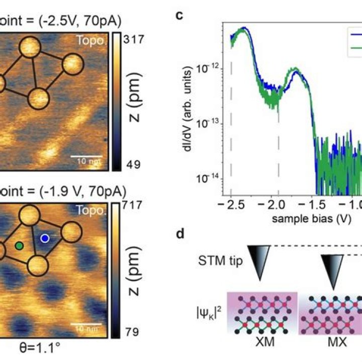 Milo Moire - Bio, Age, Wiki, Facts and Family