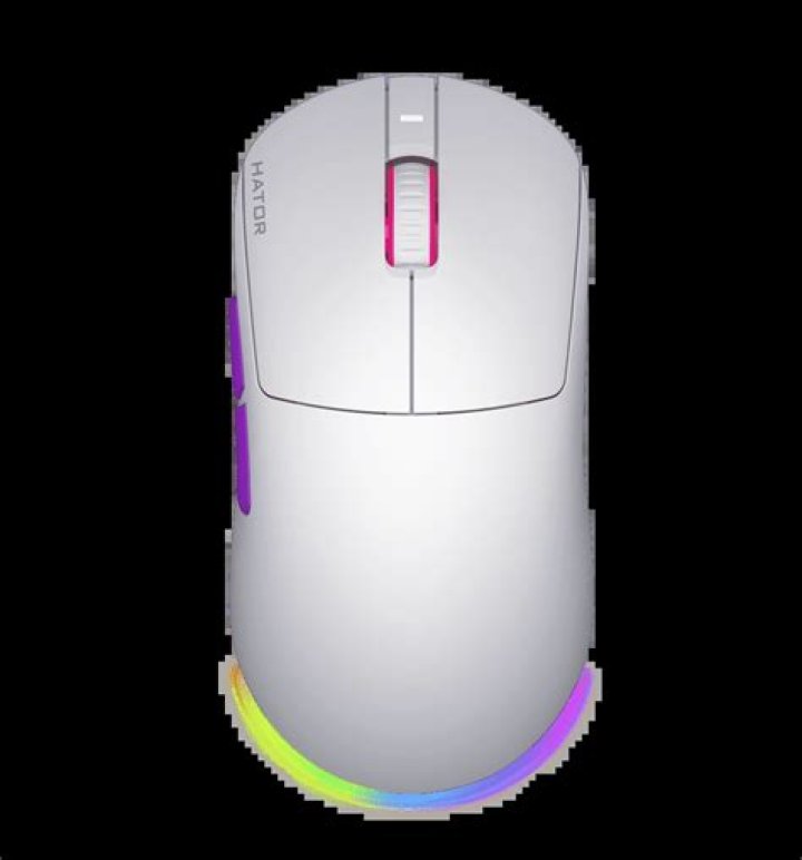 Misha Camacho - Bio, Age, Wiki, Facts and Family