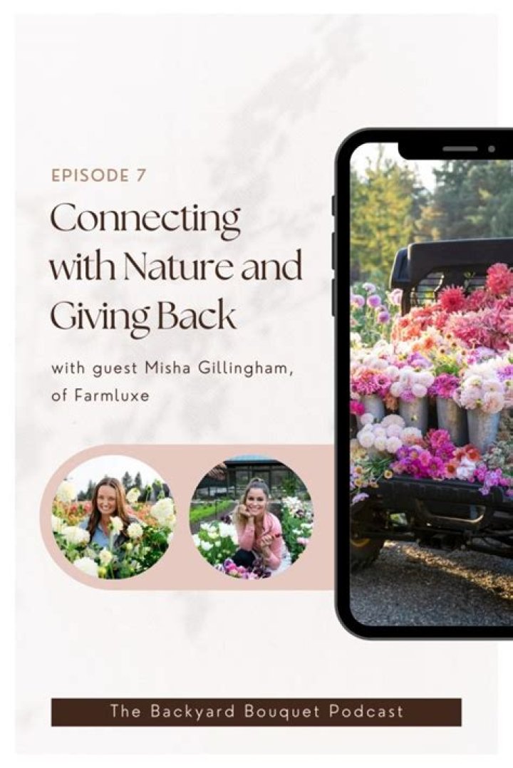 Misha Gillingham - Bio, Age, Wiki, Facts and Family