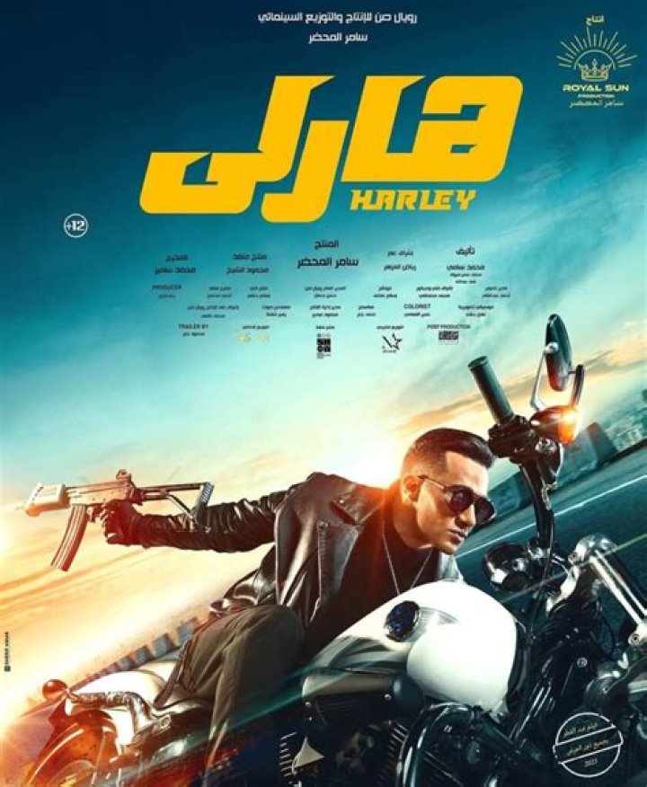 Mohamed Ramadan - Bio, Age, height, Wiki, Facts and Family