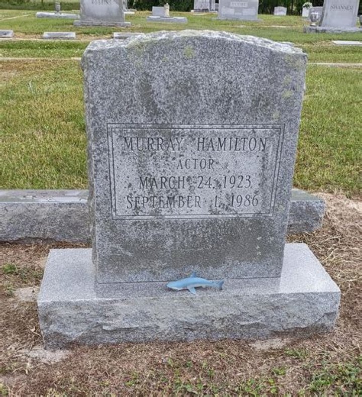 Murray Hamilton - Bio, Age, net worth, height, Wiki, Facts and Family