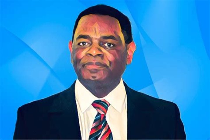 Mutumwa Mawere - Bio, Age, Wiki, Facts and Family