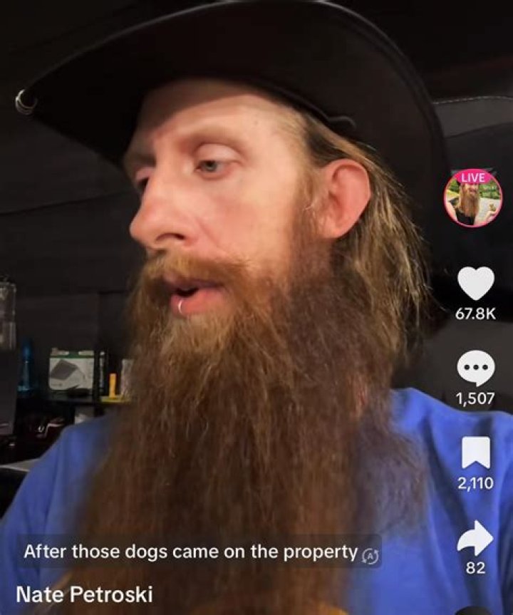 Nate Petroski(webvideostar) - Biography, Age, Net Worth, Wikipedia, Spotify, TikTok, Facebook, Facts and Family