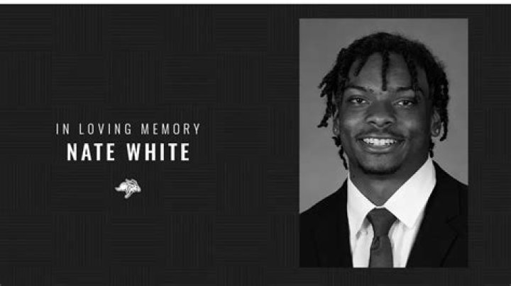 Nate White - Bio, Age, Wiki, Facts and Family