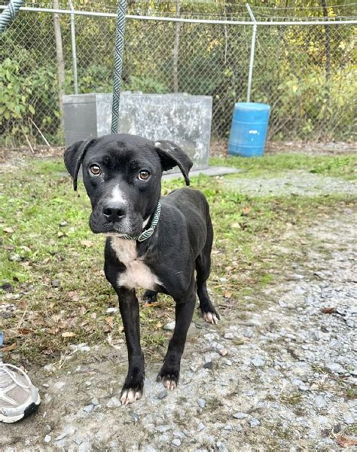 Nicole Cogan - Bio, Age, Wiki, Facts and Family