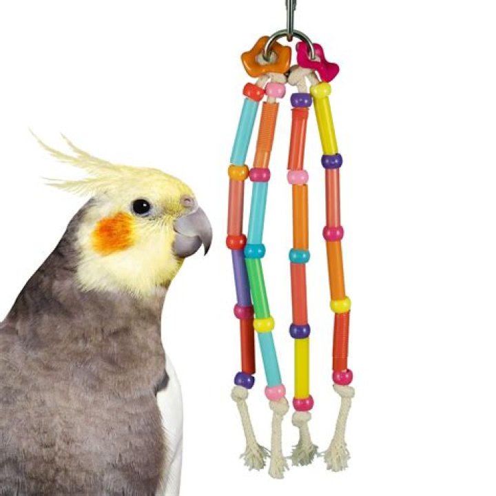 Nizzy Strawz - Bio, Age, Wiki, Facts and Family