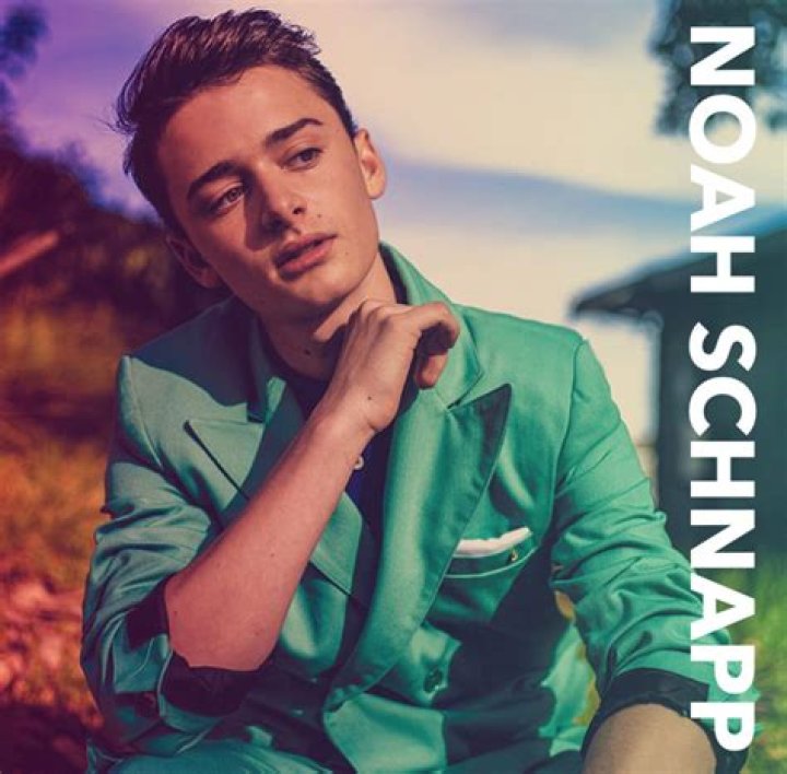 Noah Schnapp - Bio, Age, net worth, siblings, height, Wiki, Facts and Family